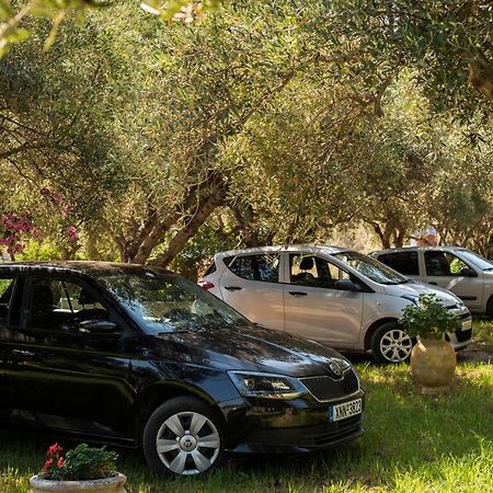 Orionas Village Kato Daratso Bagian luar foto