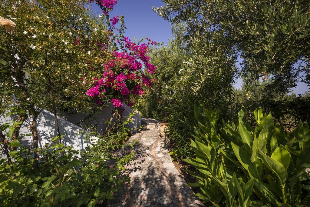 Orionas Village Kato Daratso Bagian luar foto