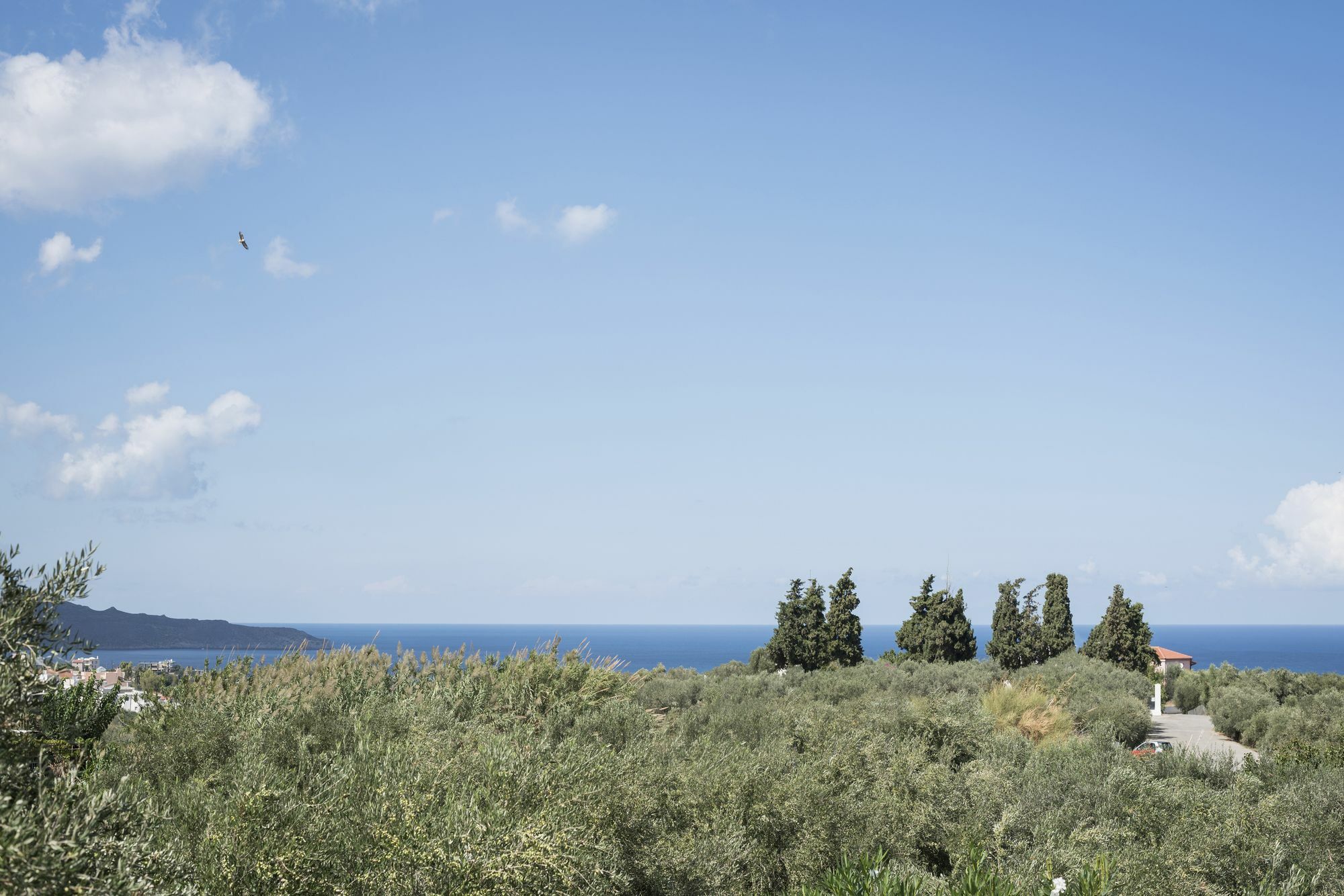 Orionas Village Kato Daratso Bagian luar foto