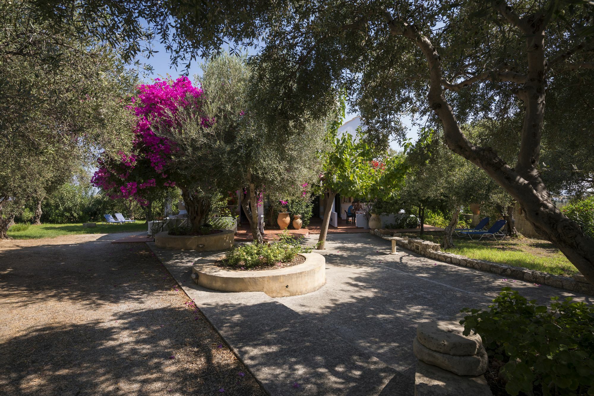 Orionas Village Kato Daratso Bagian luar foto